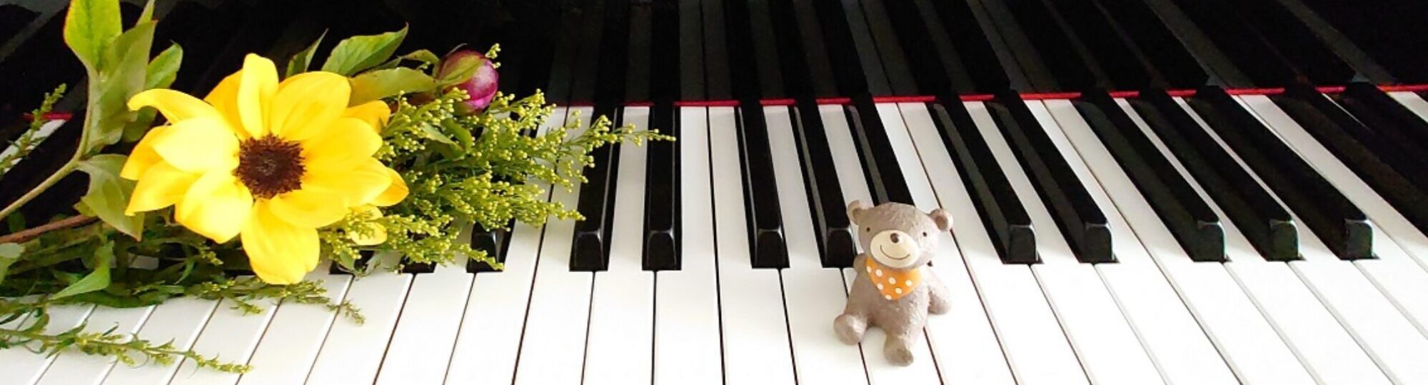 つぼみピアノ教室 東京都羽村市 2歳からシニアの方まで 初心者向きピアノ個人レッスン 脳トレ 育脳ピアノレッスン オンラインレッスンもok